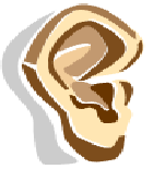 ear